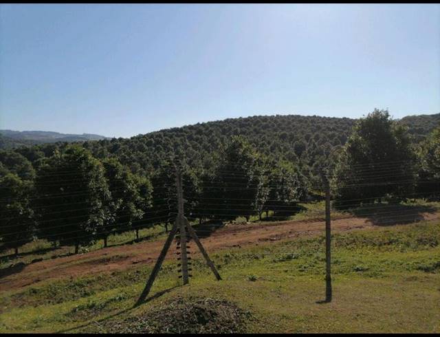 FARM FOR SALE IN LEISURE BAY